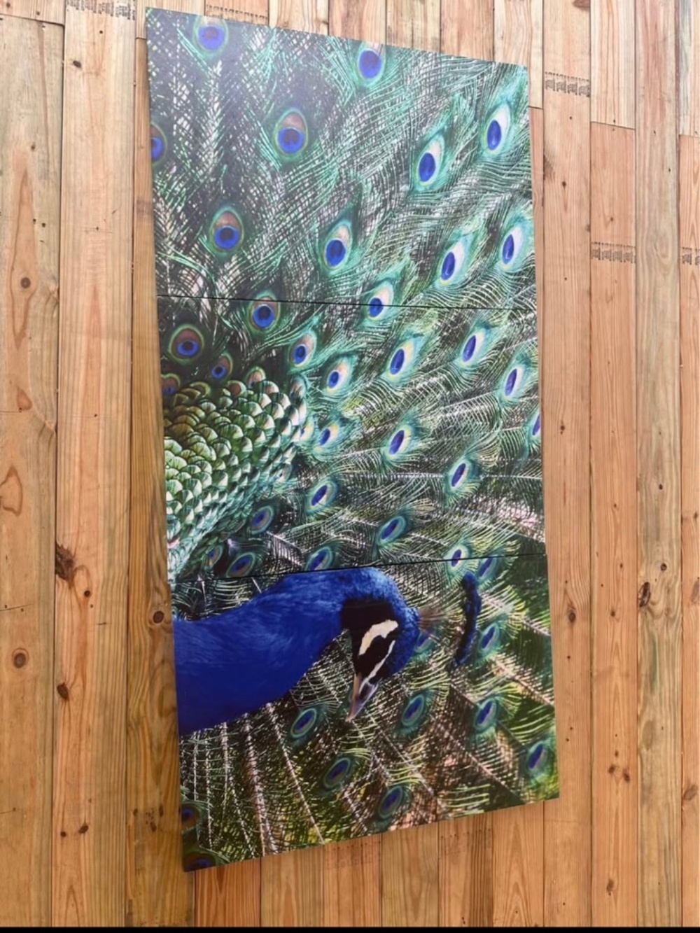 Peacock picture set